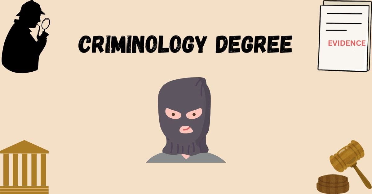 Is a criminology degree worth it in the UK