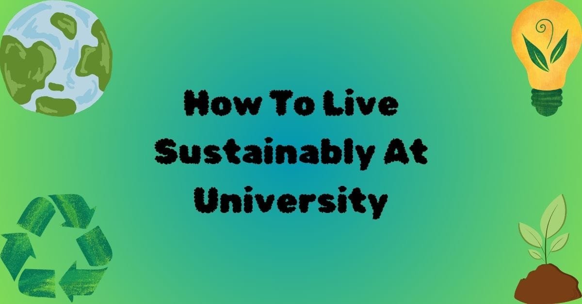 how to live more sustainably at university